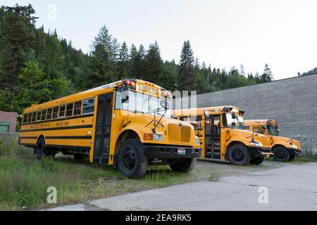 Eine Reihe von Schulbussen parkte in der Wallace School District 393 Bus Garage in Wallace, Idaho. Stockfoto