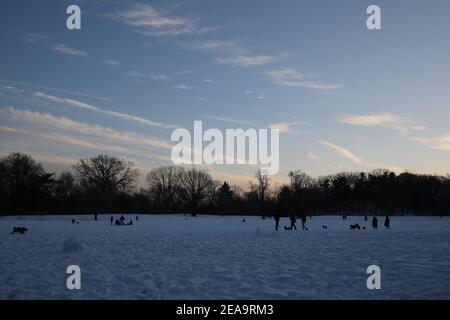 Winterszene mit schneebedeckter Fläche in einem Park, Brooklyn, NY. Kaltes Wetter Stockfoto