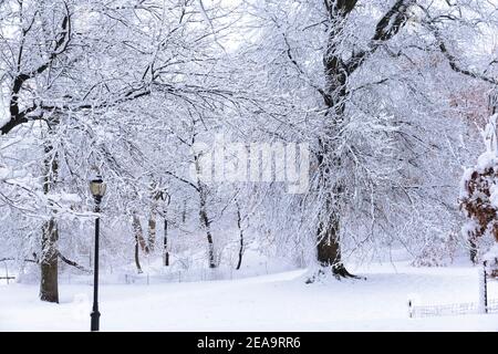 Winterszene mit schneebedeckten Bäumen und Straßen in einem Park, Brooklyn, NY. Kaltes Wetter Stockfoto