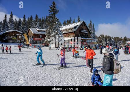 Die Leute haben Spaß auf den Skipisten im Bereich der Aleko Hütte;Vitosha Berg;Bulgarien; Stockfoto
