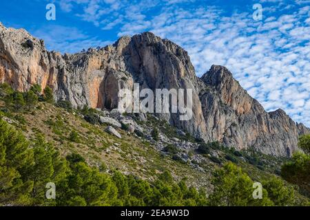 Frühling im bergigen Bernia Ridge oberhalb von Benidorm, an der Costa Blanca, Spanien Stockfoto