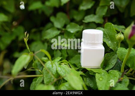 Vitamin Kapseln auf Natur Hintergrund. Pflanzliche Medizin, Konzept der Gesundheitsversorgung Stockfoto