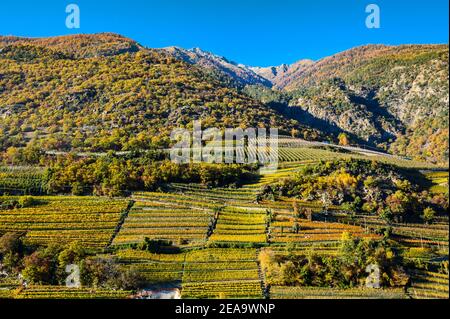 Italien, Trentino-Südtirol, Südtirol, Südtirol, Vinschgau, Kastelbell, Herbst, Weinberge am Sonnenberg Stockfoto