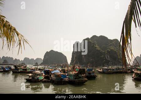 Fischerhafen in Halong Bay, Vietnam Stockfoto