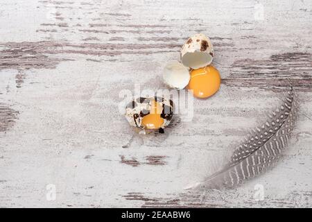 Zerbrochene Wachteleier und Federn auf Holztisch. Platz kopieren, Draufsicht Stockfoto