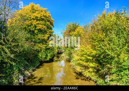 Deutschland, Bayern, Oberbayern, Bezirk Rosenheim, Bad Aibling, der Glonn am Kurpark Stockfoto