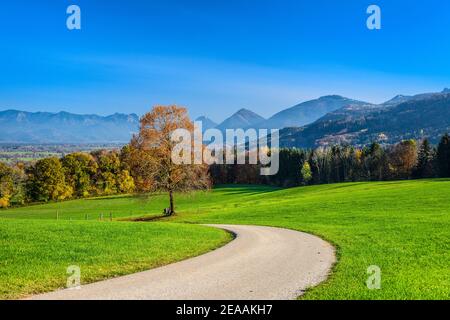 Deutschland, Bayern, Oberbayern, Bezirk Rosenheim, Bad Feilnbach, Bezirk Aich, Blick Richtung Chiemgauer Alpen und Mangfallgebirge Stockfoto