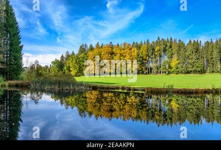 Deutschland, Bayern, Oberbayern, Tölzer Land, Dietramszell, Bezirk Humbach, Teich im FFH-Gebiet bei Humbach Stockfoto