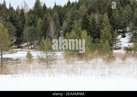 Winterwanderung am Wildensee bei Mittenwald, Werdenfelser Land, Oberbayern, Bayern, Süddeutschland, Deutschland, Europa Stockfoto