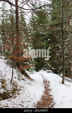 Winterwanderung am Luttensee bei Mittenwald, Werdenfelser Land, Oberbayern, Bayern, Süddeutschland, Deutschland, Europa Stockfoto