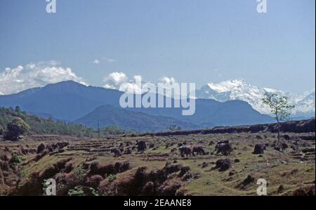 Reportage Nepal 1980 (gescannt von Kodachrome 64) Stockfoto