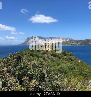 Capo Coda Cavallo, Natur, Meer, Bucht, Isola Tavolara, Sardinien, Italien Stockfoto