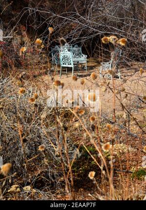 Gusseisen Gartenmöbel sitzt in einem Garten im Hinterhof im Winter mit den getrockneten Reste von Sonnenblumen, die blühte im letzten Sommer gefüllt. Stockfoto