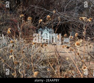 Gusseisen Gartenmöbel sitzt in einem Garten im Hinterhof im Winter mit den getrockneten Reste von Sonnenblumen, die blühte im letzten Sommer gefüllt. Stockfoto