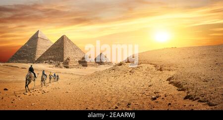 Camel Caravan und die Pyramiden von Gizeh in Ägypten Stockfoto