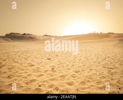 Sandy-Wüste in Ägypten bei Sonnenuntergang Stockfoto