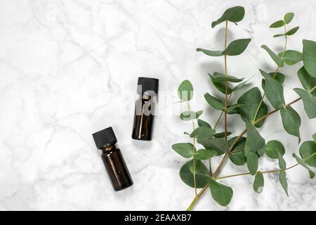 Zwei Bernsteinflaschen mit ätherischem Eukalyptus-Öl und frischem Eukalyptus-Zweig auf Marmorboden. Natürliche kosmetische Inhaltsstoffe für Hautpflegeprodukte. S Stockfoto