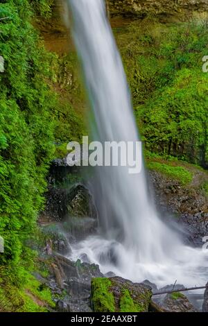 Norden verliebt sich in Silver Falls State Park, Oregon, USA Stockfoto