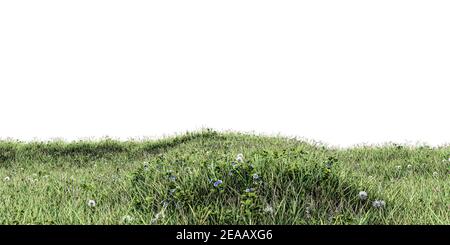 Wiese isoliert auf weißem Hintergrund 3D Abbildung Stockfoto