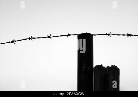 Stacheldrahtzaun vor dem Himmel, symbolisches Bild der Gefangenschaft, Stuttgart, Baden-Württemberg, Deutschland Stockfoto