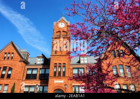 Der historische Old North Tower in Edmond Oklahoma steht vor einem blauen Himmel mit einem frühlingsblühenden Redbud-Baum. Stockfoto