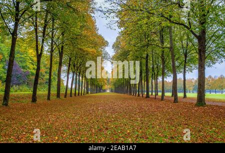 Herbstliche Allee im Hofgarten, Schleißheim Neues Schloss, Bayern, Deutschland Stockfoto