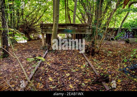 Überwuchert Schienen einer stillgewordenen Eisenbahnlinie, Starnberg, Bayern, Deutschland, Europa Stockfoto