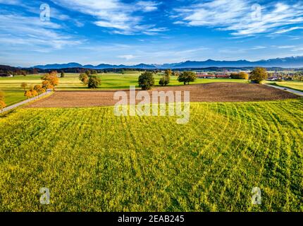 Bayerisches Alpenvorland im Herbst bei Weilheim, Drohnenbild, Oberbayern, Bayern, Deutschland, Europa Stockfoto