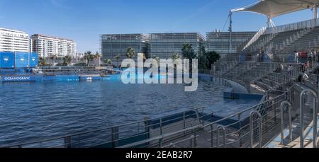 Delfinausstellung in der ozeanographischen Stadt Valencia, Spanien, Europa Stockfoto