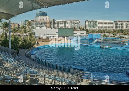 Delfinausstellung in der ozeanographischen Stadt Valencia, Spanien, Europa Stockfoto