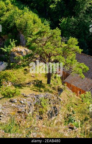 Landschaft und Felshänge im Kleinziegenfelder Tal, Fränkische Schweiz, Lichtenfels Kreis, Oberfranken, Franken, Bayern, Deutschland Stockfoto