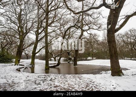 Verschneite Landschaft in Hollow Pond, Leytonstone, London, Großbritannien. Stockfoto