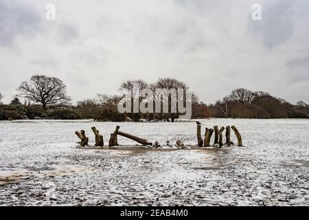 Verschneite Landschaft in Hollow Pond, Leytonstone, London, Großbritannien. Stockfoto