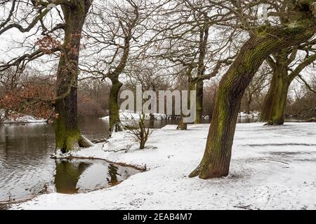 Verschneite Waldlandschaft in Hollow Pond, Leytonstone, London, Großbritannien. Stockfoto