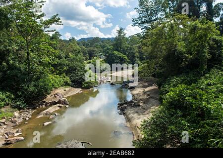 Ursprünglicher Flachlandregenwald am Ufer der Danum Fusses, Danum Valley Protection Zone, Danum Valley Conservation Area, Sabah, Borneo, Malaysia Stockfoto