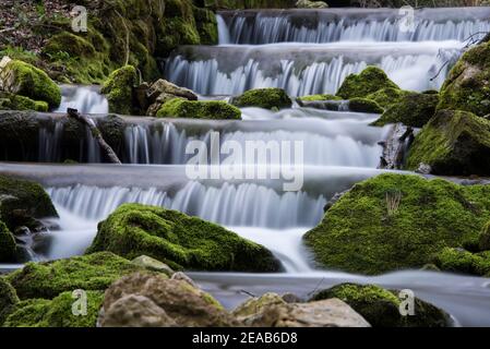 Bergbach mit Moos, Jura, Schweiz Stockfoto