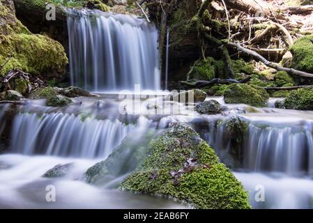 Bergbach mit Moos, Jura, Schweiz Stockfoto