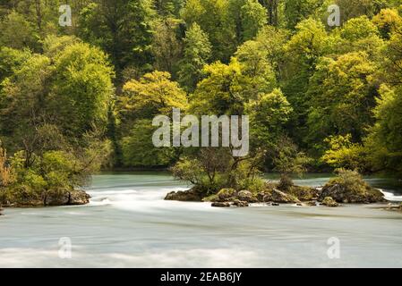 Rhein bei Schaffhausen, Schweiz Stockfoto