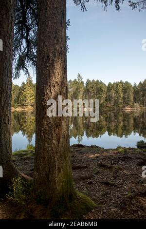 Etang de la Gruyeré Moorsee, Jura, Schweiz Stockfoto