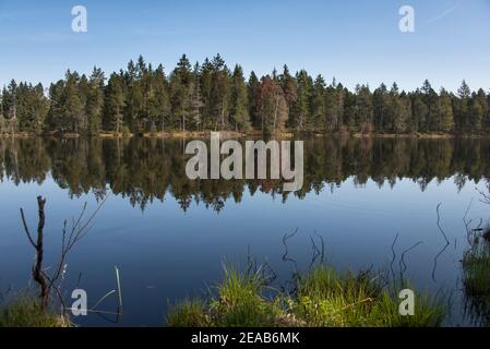 Etang de la Gruyeré Moorsee, Jura, Schweiz Stockfoto