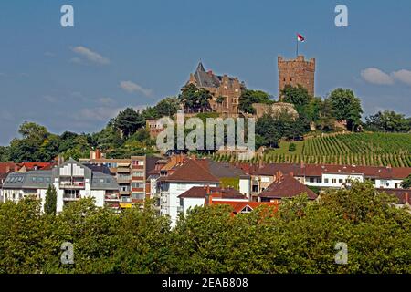 Bingen am Rhein, Stadtpanorama mit Schloss Klopp, Rheinland-Pfalz, Deutschland Stockfoto
