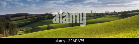 Felder und Wiesen von Conqueror Wood, Torquay, Devon in England in Europa Stockfoto