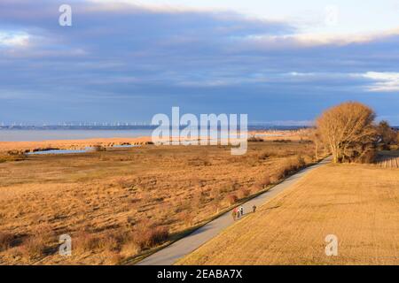 Illmitz, Blick nördlich des Neusiedler Sees vom Aussichtsturm auf 'Hölle' im Nationalpark Neusiedler See - Seewinkel am Neusiedler See, Burgenland, Österreich Stockfoto