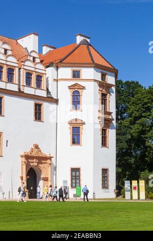 Herzogsburg, Celle, Lüneburger Heide, Niedersachsen, Deutschland, Europa Stockfoto