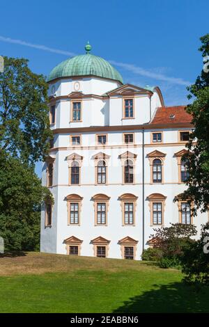 Herzogsburg, Celle, Lüneburger Heide, Niedersachsen, Deutschland, Europa Stockfoto