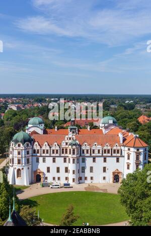 Herzogsburg, Celle, Lüneburger Heide, Niedersachsen, Deutschland, Europa Stockfoto