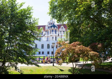 Herzogsburg, Celle, Lüneburger Heide, Niedersachsen, Deutschland, Europa Stockfoto