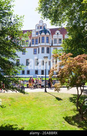 Herzogsburg, Celle, Lüneburger Heide, Niedersachsen, Deutschland, Europa Stockfoto