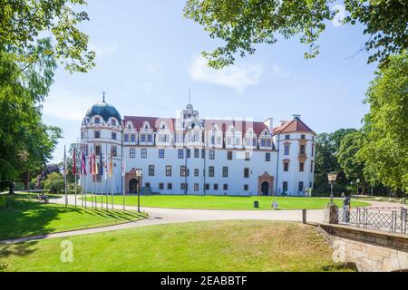 Herzogsburg, Celle, Lüneburger Heide, Niedersachsen, Deutschland, Europa Stockfoto