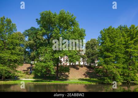 Herzogsburg, Celle, Lüneburger Heide, Niedersachsen, Deutschland, Europa Stockfoto